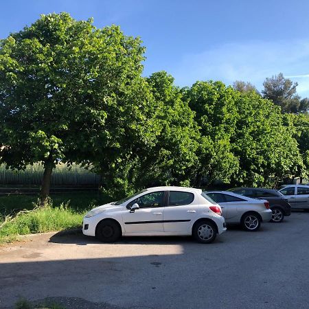 Appartamento M&M I Navicelli Livorno Esterno foto